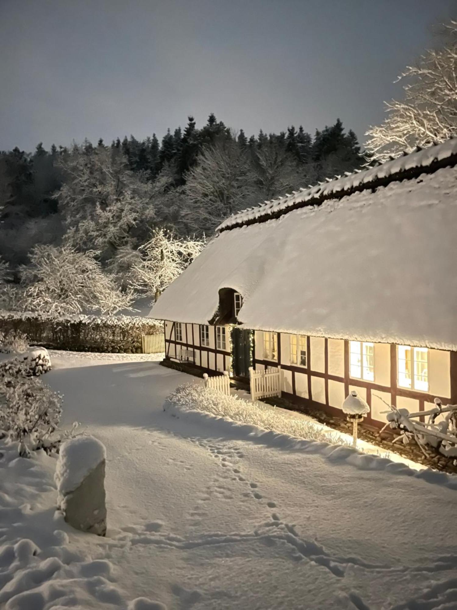Lillemollens Bed & Breakfast Orbaek  외부 사진